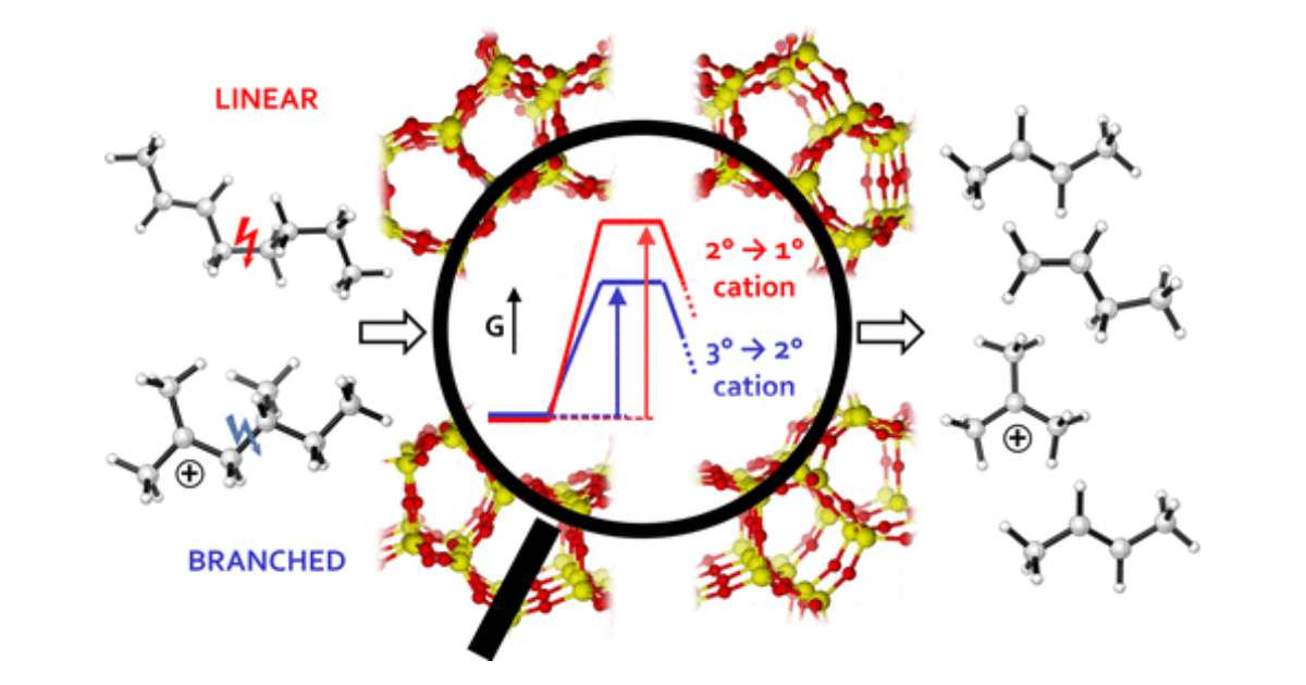 Graphical Abstract for How Chain Length and Branching Influence the Alkene Cracking Reactivity on H-ZSM-5