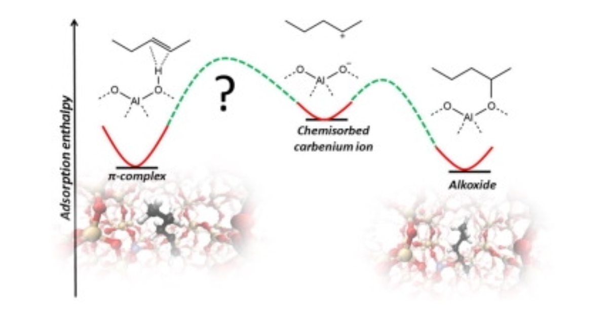 Graphical Abstract for On the Stability and Nature of Adsorbed Pentene in Brønsted Acid Zeolite H-ZSM-5 at 323 K